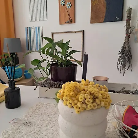 Amelia Apartamento